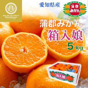蒲郡みかん 箱入り娘（みかん、柑橘類）の商品一覧｜フルーツ | 食品 