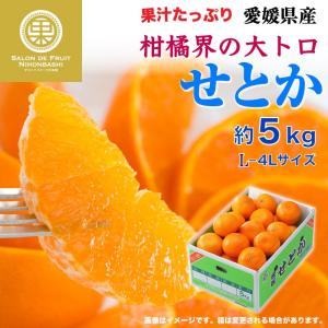 [順次発送] せとか 約5kg L-4Lサイズ 愛媛県産ほか 産地箱 みかん