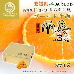 [予約 2023年 11月15日-12月15日の納品] ゴールド千両 日の丸みかん 約3kg S 愛媛県 JAにしうわ 西宇和 みかん 日の丸共選 産地箱　 冬ギフト お歳暮 御歳暮