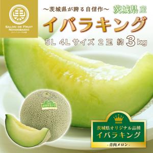 【予約 5月1日〜初荷分より順次発送】 イバラキング メロン 青肉 特大サイズ 2玉 5L4Lサイズ 約3kg 茨城県