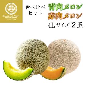 [当日発送可] 青肉&amp;赤肉メロン 産地厳選 食べ比べセット 4-5L 計2玉 旬の最良メロン アンデス クインシー オトメ イバラキング 等