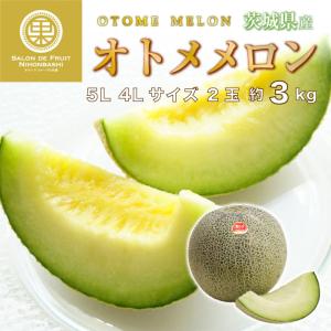 【予約 5月1日〜初荷分より順次発送】 オトメメロン 特大 5L4Lサイズ 2玉 約3kg 青肉 メロン 茨城県産ほか