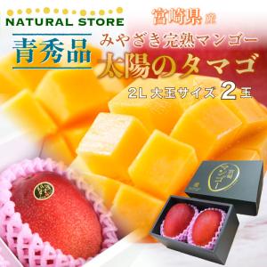 [最短順次発送]   太陽のタマゴ 青秀品 以上 大玉 2L 2玉 宮崎完熟マンゴー