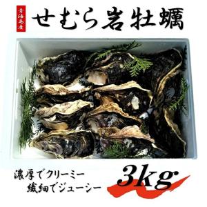 せむら岩牡蠣3kg 夏 BBQ 岩牡蠣 夏が旬 牡蠣 かき カキ...