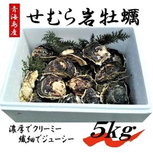 せむら岩牡蠣5kg 夏 BBQ 岩牡蠣 夏が旬 牡蠣 かき カキ...