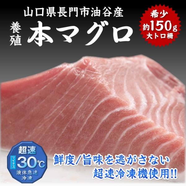 山口県産 長門とろける本マグロ 大トロ 柵 約150g 刺身用 寿司 丼ぶり 絶品 海鮮丼 ご褒美 ...