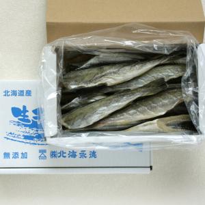 生干し こまい 500g - 北海道産 氷下魚 コマイ 干物 一夜干し 冷凍 焼き魚 珍味 おつまみ 酒の肴 お取り寄せ グルメ 永徳