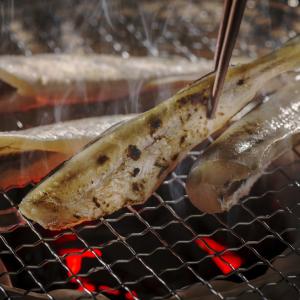 生干し こまい 500g - 北海道産 氷下魚...の詳細画像1