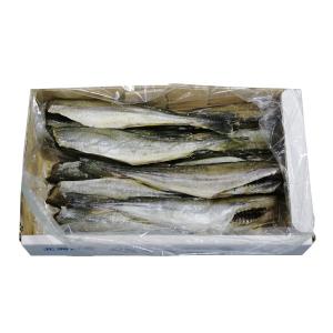 生干し こまい 500g - 北海道産 氷下魚...の詳細画像3