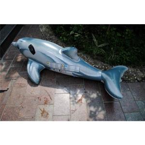 イルカ浮き輪の商品一覧 通販 Yahoo ショッピング