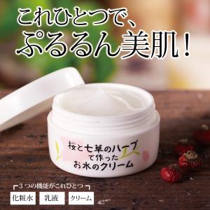 新品未開封 資生堂 クレ ド ポーボーテ　クレームUV n 2025限定 cle de peau BEAUTE 【2025年限定】資生堂 クレドポーボーテ