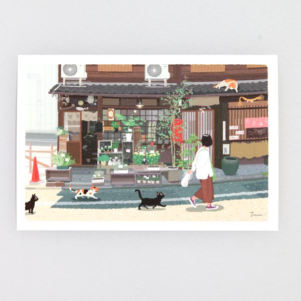 夏 たびねこ ポストカード 京都の花屋 (c) もりとしのり PF-251s メール便OK 猫 ネコ