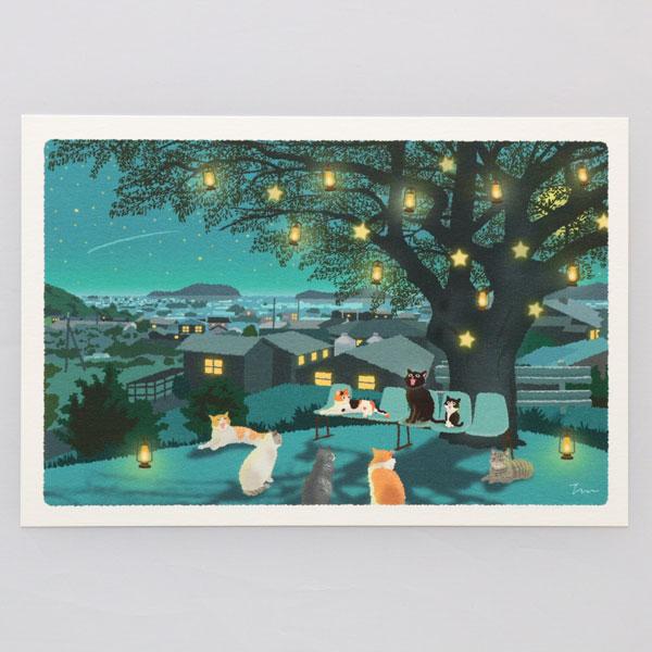 冬 たびねこ ポストカード 星空の合唱団 (c)もりとしのり PPA-229f 絵はがき メール便 ...