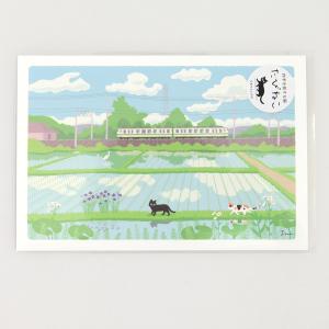 夏 たびねこ ポストカード 緑色の風 (c) ...の詳細画像1