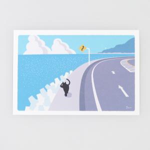 夏 たびねこ ポストカード 海からの風 (c) もりとしのり PPA-287s メール便OK 猫 ネコ
