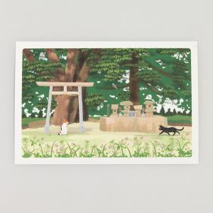 夏 たびねこ ポストカード 約束の場所 (c) もりとしのり PPA-289s メール便OK 猫 ネコ