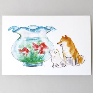 夏 しばいぬと夏ポストカード 金魚 (c) 村田夏佳 メール便 柴犬 シバイヌ 絵はがき しばいぬ 夏のポストカード