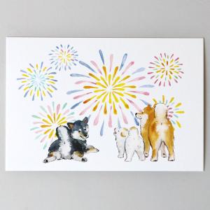 夏 しばいぬと夏ポストカード 花火 (c) 村田夏佳 メール便 柴犬 シバイヌ 絵はがき しばいぬ 夏のポストカード