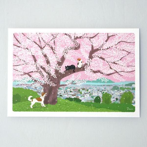 春 たびねこ ポストカード 「 丘の上の桜 」 (c) もりとしのり PW-614h 【 メール便O...