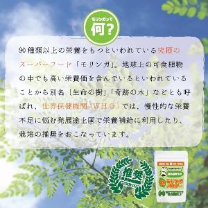 鹿児島育ちのモリンガパウダー 送料無料 モリン...の詳細画像1