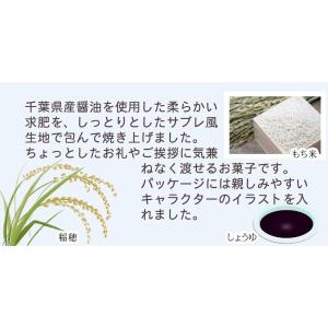 なごみの米屋 もちぺた 単品1枚の詳細画像3