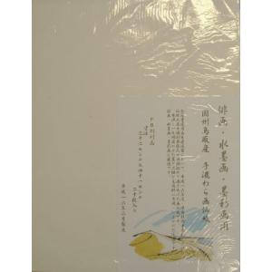 因州手漉 水墨画用紙 F-6判 20枚入り｜nagomi2006