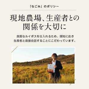 ルイボスティー なごみ 100包×2個 セット...の詳細画像5