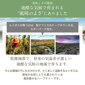 フレーバードルイボスティー お試しセット 全5...の詳細画像5