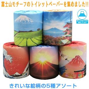 トイレットペーパー 販促用 富士山 5種類アソート ダブル30m 個包装100個｜nagomishop