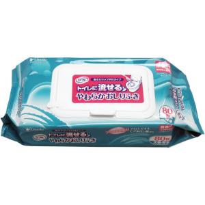 【新品】アルワイパー エタノール77vol％ 除菌ウェットシート 2個パック24 Amazon.co.jp: アルワイパー除菌ウェットシート 20枚×2個入