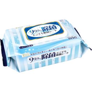 【新品】アルワイパー エタノール77vol％ 除菌ウェットシート 2個パック24 新品 アルワイパー エタノール77vol％ 除菌ウェットシート 2個