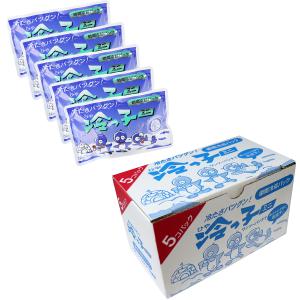 保冷剤 蓄冷剤 滝田製氷 クールパック ひやしんす NA-500g 140x220mm