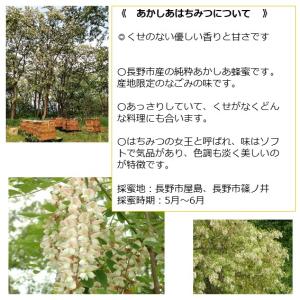 信州 長野市産あかしあはちみつ 非加熱 生はち...の詳細画像5