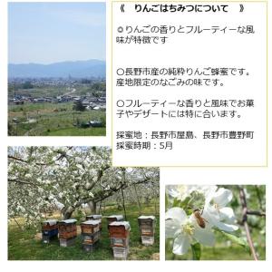 信州 長野市産りんごはちみつ 国産純粋リンゴ蜂...の詳細画像4