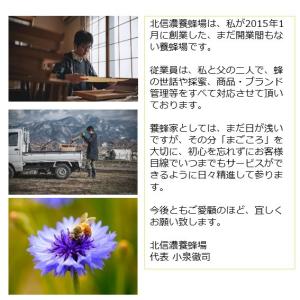 信州 長野市産りんごはちみつ 国産純粋リンゴ蜂...の詳細画像5