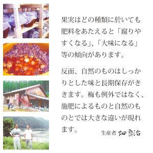 紀和の里 梅干し 紫蘇 しそ漬け 無添加 無農...の詳細画像2