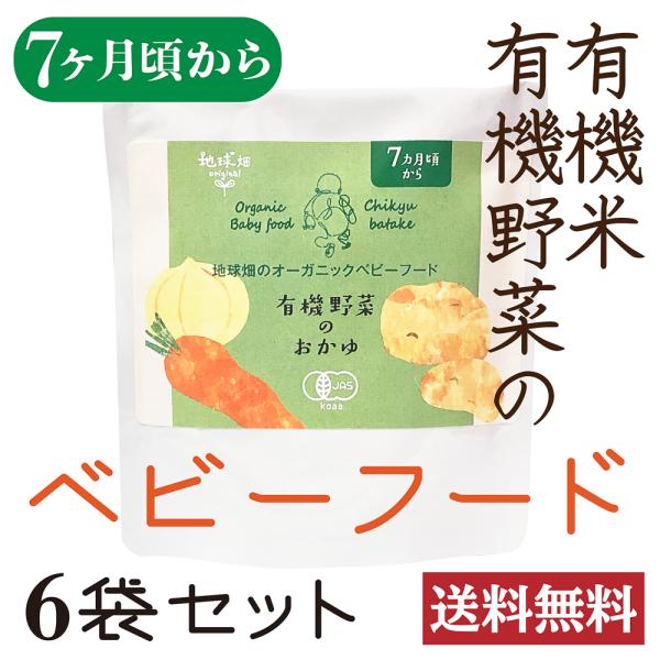 【6袋セット】かごしま オーガニックベビーフード 有機野菜のおかゆ【離乳食・7ヶ月頃から】