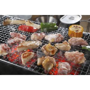 3-4人前 純系 名古屋コーチン BBQセット...の詳細画像1
