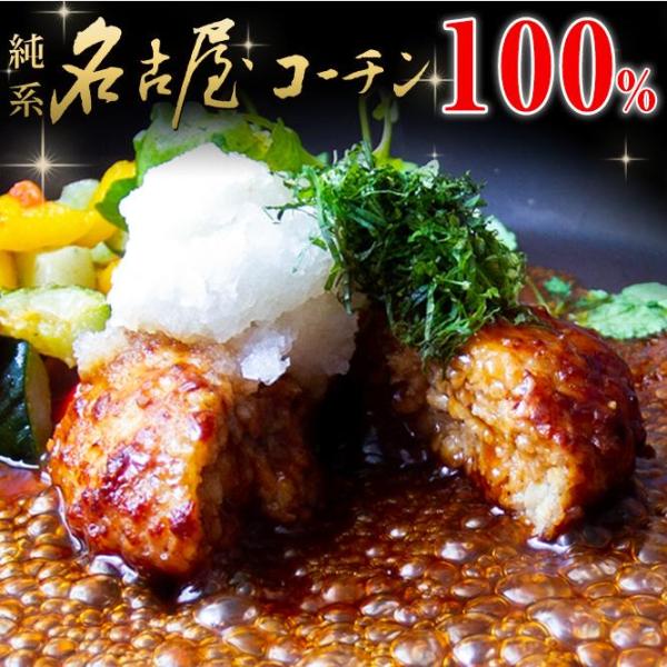 お中元 ギフト【TV紹介されました♪】 名古屋コーチン 白金ハンバーグ 8個 岩塩 お取り寄せグルメ...