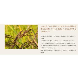 天乃屋 古代米煎餅 10枚×2袋 もち麦粒ごと...の詳細画像4