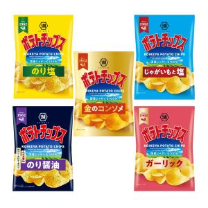 訳あり 湖池屋 ポテトチップス 5種アソート(のり塩 3袋、塩味3袋、コンソメ2袋、ガーリック2袋、のり醤油2袋）計12袋（賞味期限：2026年8月）