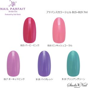 ネイルパフェ ポリッシュジェル アドバンスカラージェル B20