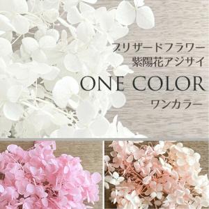 メール便(日本郵便)送料無料 プリザーブドフラワー 紫陽花 アジサイ ピンク系 選べる2色 ピンク ライトサーモンピンク