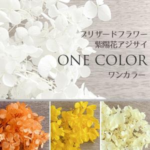 メール便(日本郵便)送料無料 プリザーブドフラワー 紫陽花 アジサイ ビタミンカラー系 選べる3色 ゴールデンイエロー オレンジ クリーム