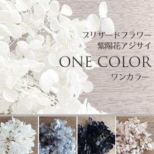 メール便(日本郵便)送料無料 プリザーブドフラワー 紫陽花 アジサイ モノトーン系 選べる4色 ホワイト グレー ブラック ベージュ
