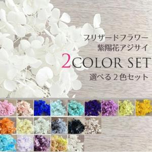 メール便(日本郵便)送料無料 プリザーブドフラワー 紫陽花 アジサイ 選べる20色 2点セット A col.1~12