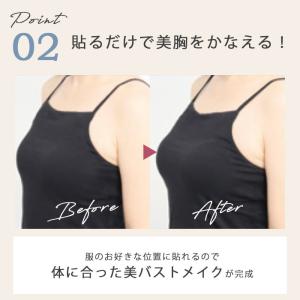 2個セット エアリースキンブラ インナーに貼る...の詳細画像5
