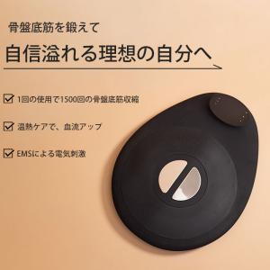 ラシーネ コアジム racine core gym 骨盤底筋 トレーニング 膣トレ EMS