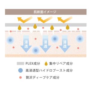 MYNAILPLEX マイネイルプレックス 1...の詳細画像3