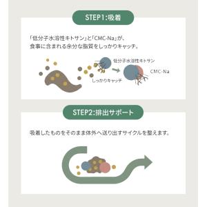 カロキシーカット ダイエット サプリメント 脂...の詳細画像5